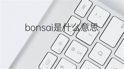 bonsai 意思|BONSAI中文(简体)翻译：剑桥词典